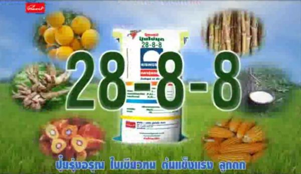 Risingsun Fertilizers Ad: Formula 28-8-8