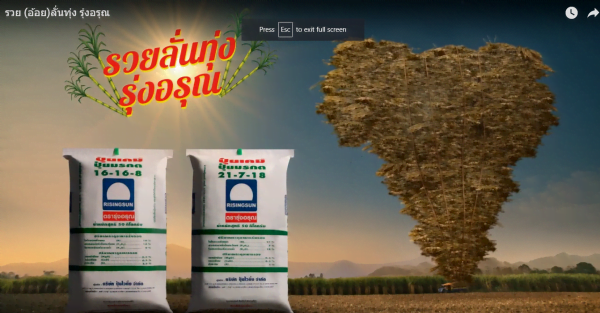 Risingsun Fertilizers Ad: Openly Rich (in Sugar Canes) with Risingsun