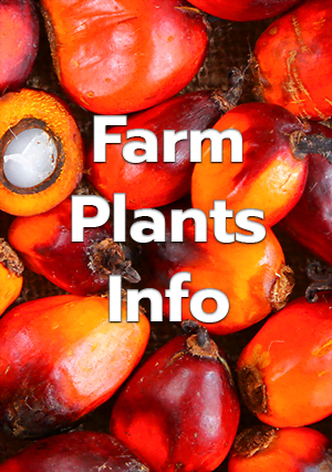 Farm Plants Info